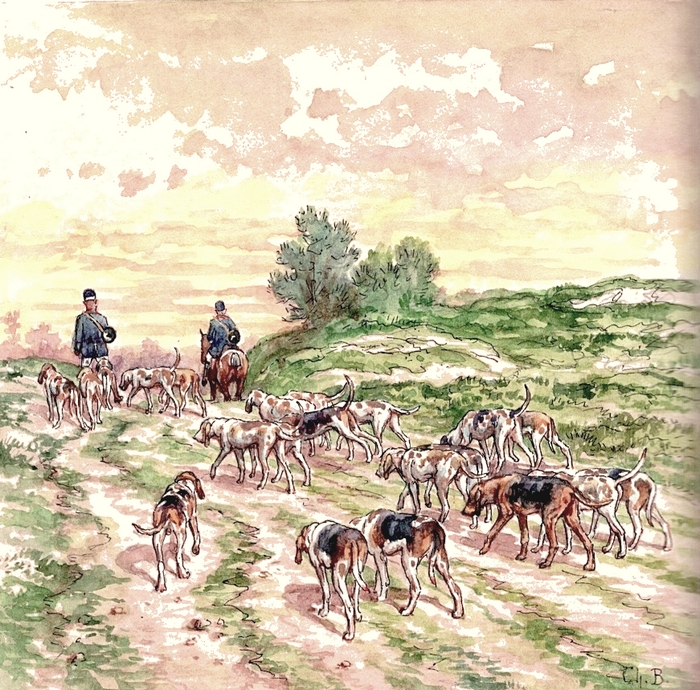 Illustration tirée de l'ouvrage Les Chiens courants français pour la chasse du lièvre (1866) - E. de Vézins - Forestié (Montauban) (14)